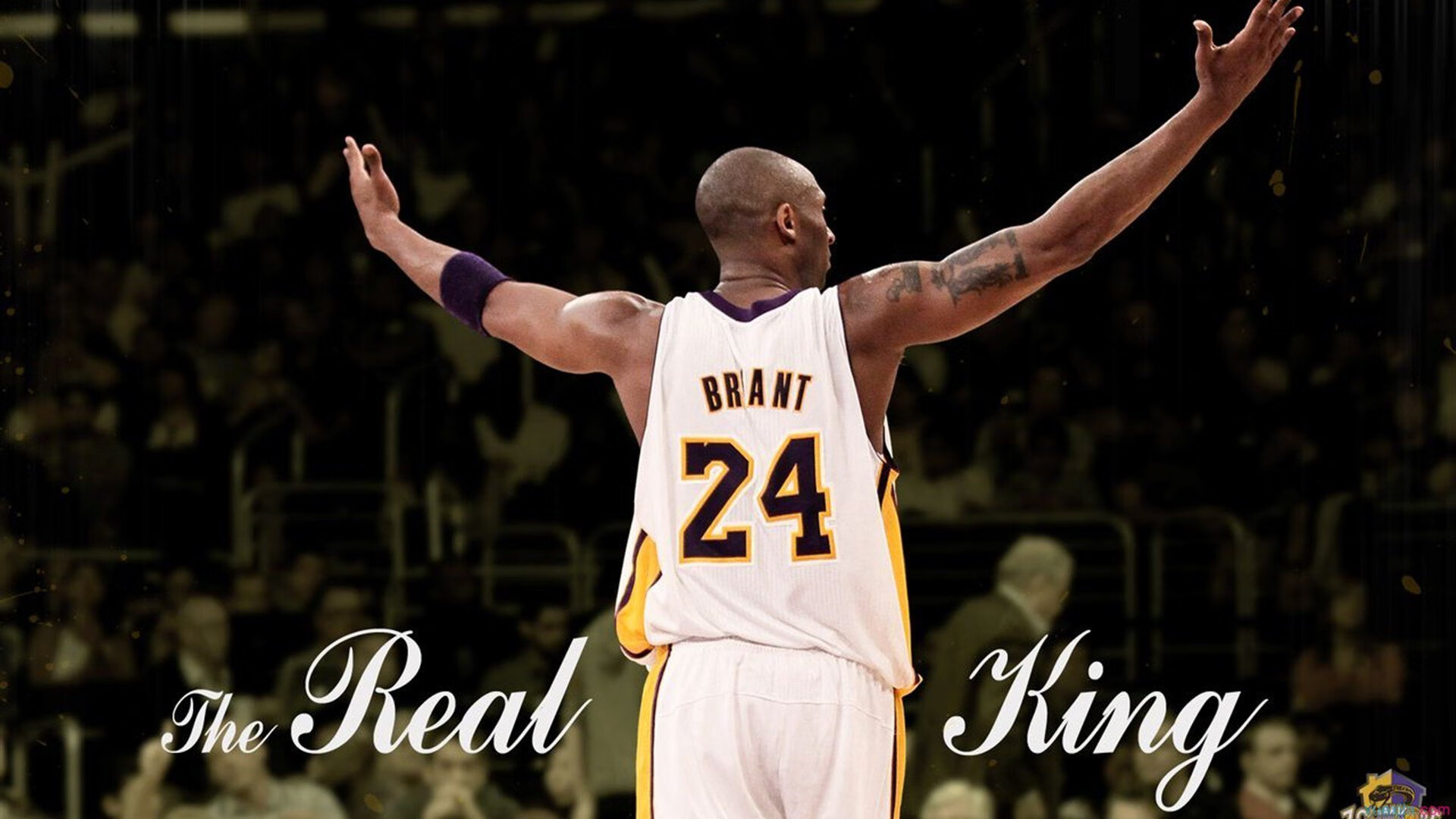 ky体育平台-环球冲浪邀请赛，海浪中的极限挑战，冲浪娱乐节目